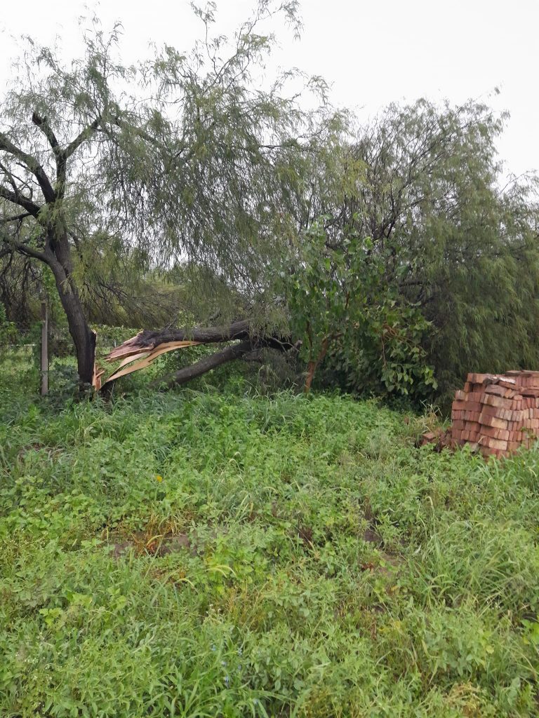 Un fenómeno meteorológico en Frías, Loreto, Maco, Capital y otros lugares de Santiago del Estero provocó daños considerables