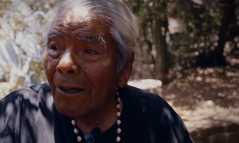 ¿Conoces a Tata Kachora?